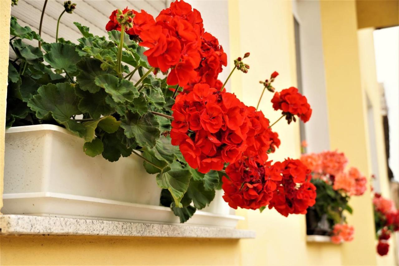 Bed and Breakfast Club Haus 502 Калокса Экстерьер фото