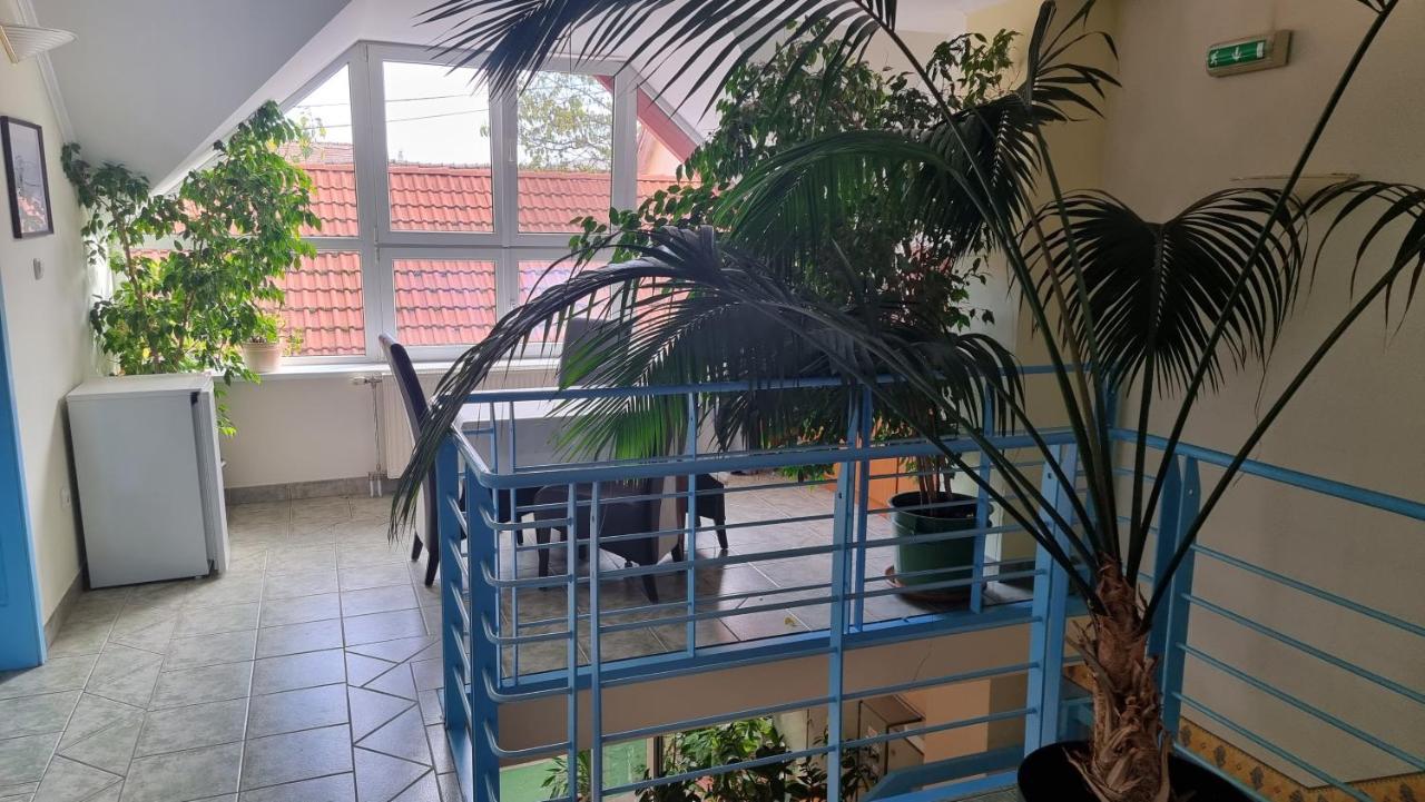 Bed and Breakfast Club Haus 502 Калокса Экстерьер фото